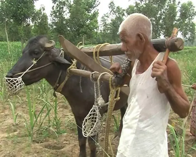 किसान सीताराम