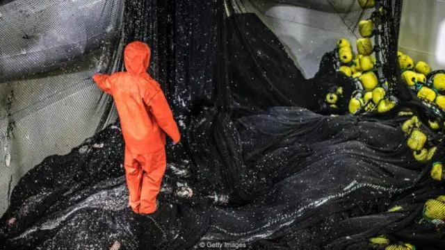 sampah, plastik, makanan laut, seafood, ikan