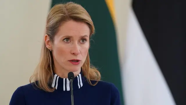 Премьер-министр Эстонии Кая Каллас