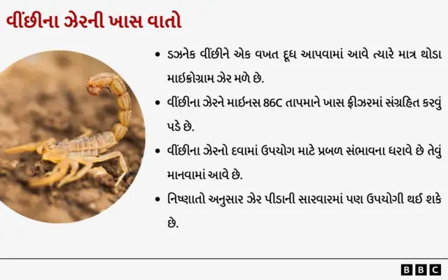 વીંછીના ઝેરની ખાસ વાતો