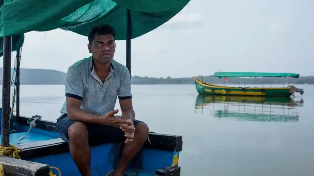 గోవా, హంప్బ్యాక్ డాల్ఫిన్లు