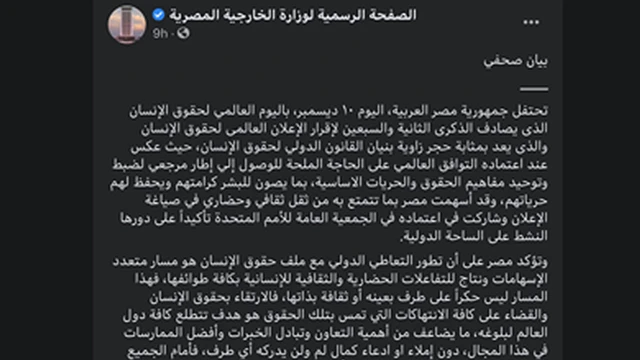 صفحة وزارة الخارجة المصرية على فيسبوك