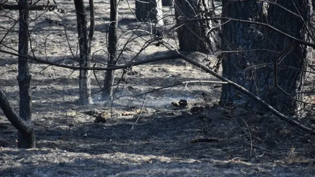 пожежа в Гороб'ївці