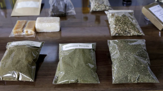 Photo of cannabis ontop table