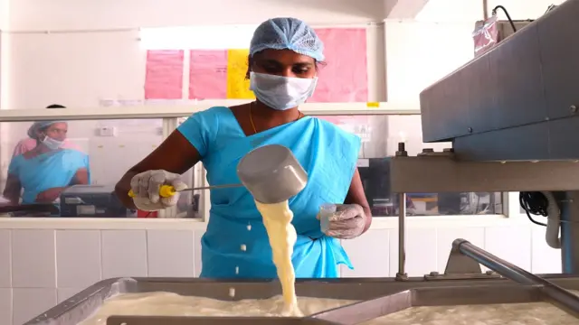 శ్రీజ డైరీ పాలు