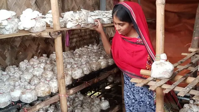 ফাতেমা আকতার