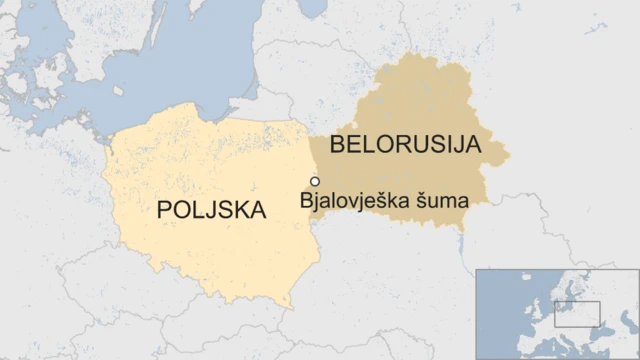 Granica između Poljske i Belorusije na kojoj se nalazi Bjalovješka šuma