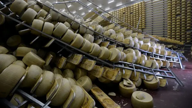 Ruedas de queso en el suelo.