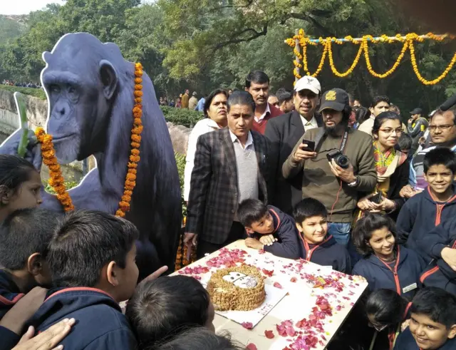 రీటా కట్ ఔట్ ముందు కేకు