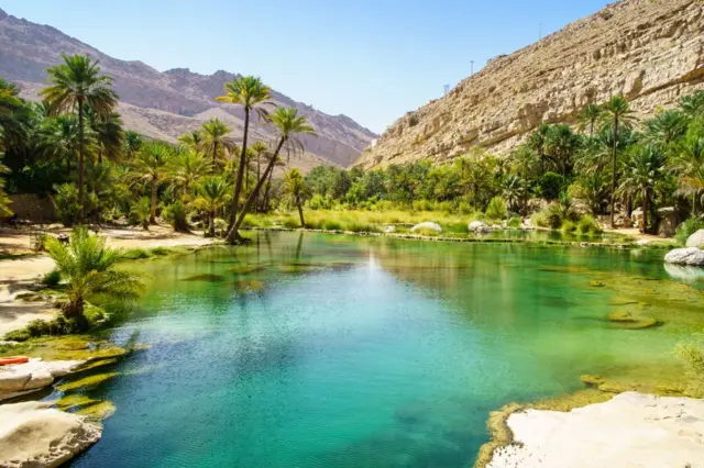 Agua cristalina y turquesa, con vegetación en medio del desierto