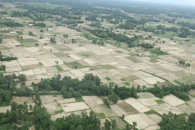 सुक्खाग्रस्त मधेशका खेतहरू