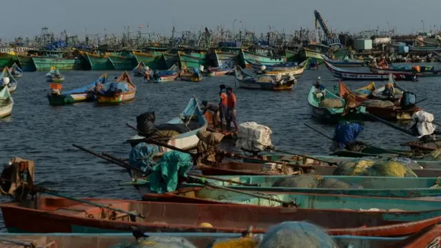 மீன்வள மசோதா