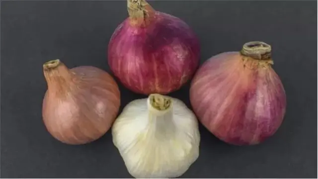 পেঁয়াজ রসুন