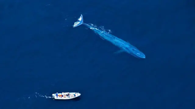 e get better ecosystem service value