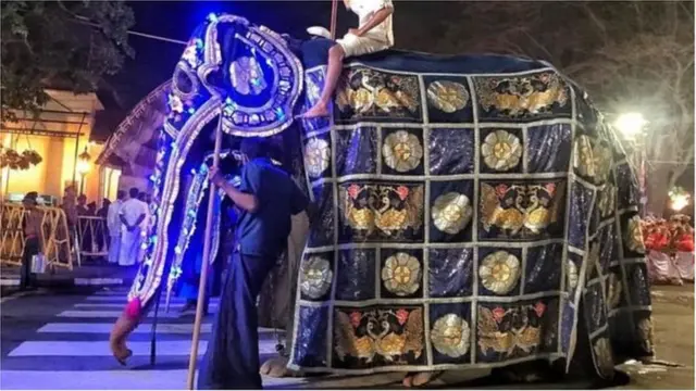 టికిరి ఏనుగు