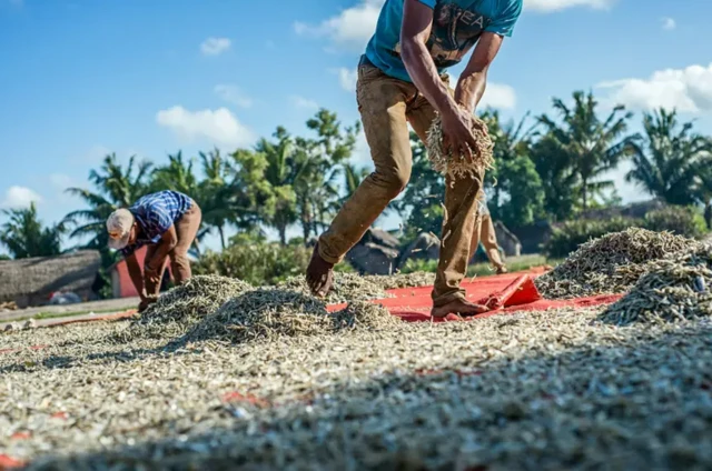 Yetuk rus mastlari bilan jinsiy aloqa