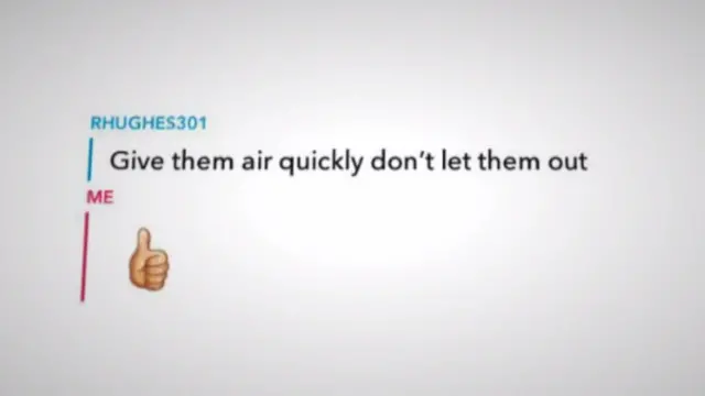 Сообщение от хьюза робинсону