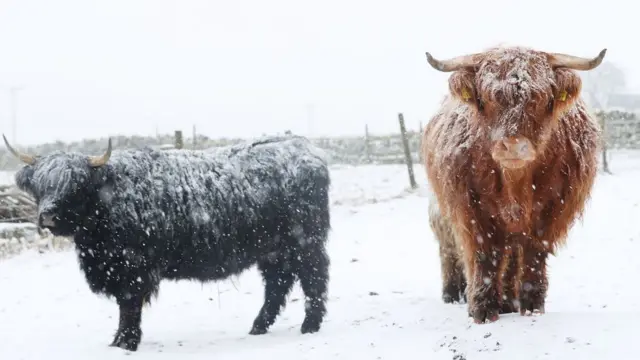 Inggris,salju, cuaca