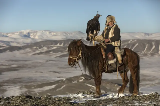 девушка верхом на лошади с беркутом