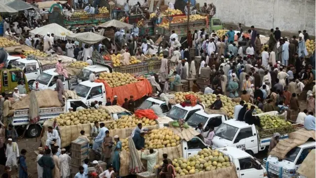 Fruit sellers sell fruit at a market in Karachi, Pakistan, 26 May 2017.