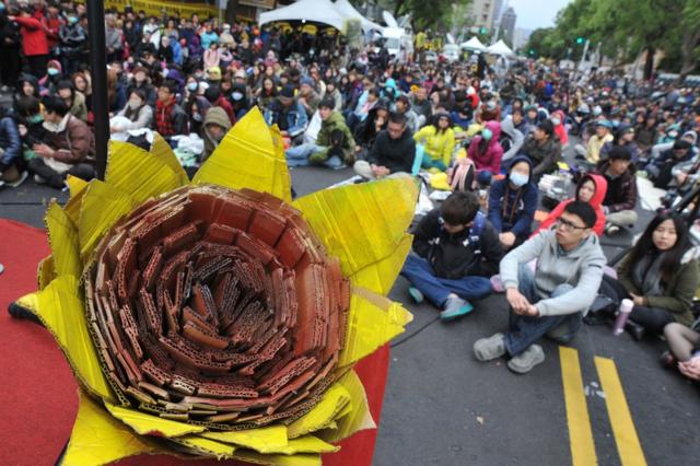 2014年3月，台湾发生占领立法院的"太阳花学运"