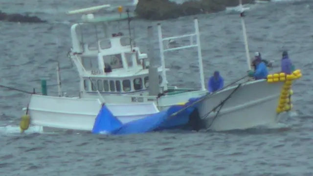 Em Taiji, os caçadores tentam esconder com lonas os corpos dos animais mortos que são levados para processamento