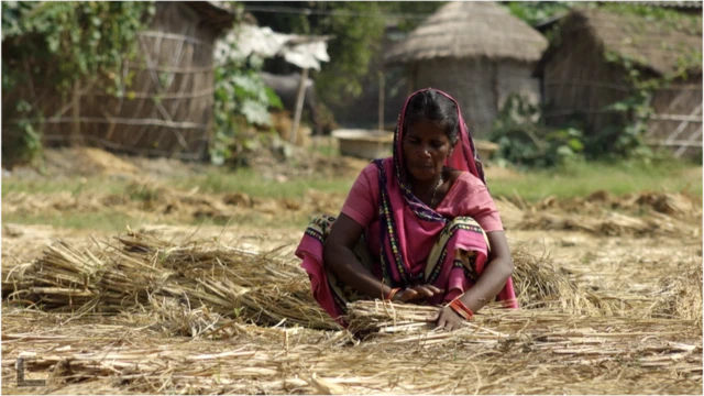 गांव की महिला
