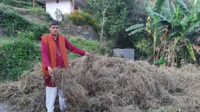 Caption- காலம் தவறிப்பெய்யும் அடை மழை விவசாயத்திற்கு பெரும் சேதத்தை ஏற்படுத்துகிறது என்கிறார் சர்வேஷ்வர் தெளண்டியால்