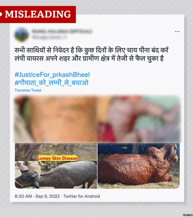 ਵਾਇਰਲ ਪੋਸਟ