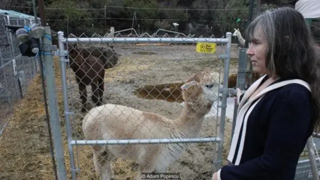 ویکتوریا وان-پرلینگ سعی می‌کرده تا از جان حیوانات خود محافظت کند