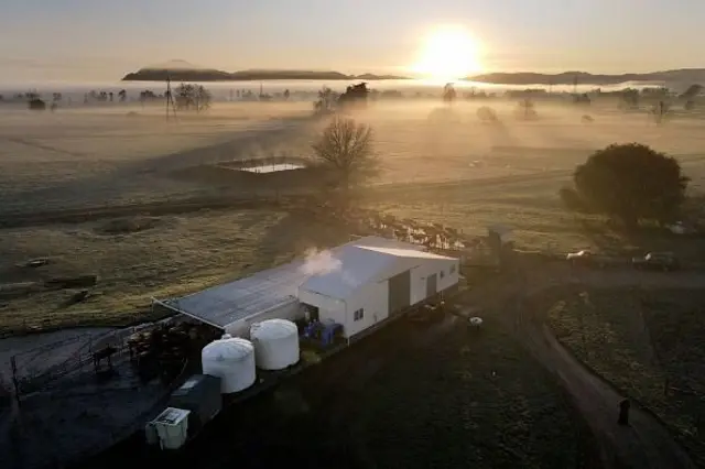 “අහල පහල ගෙයක් නැහැ, දකින්න කතා කරන්න මනුස්සයෙක් නැහැ. කොටින්ම කියනවා නම් මම යන පාරේ වාහනයක් යනවා දකින්නේ පැය 2කට විතර සැරයක්. ඒ ගියත් යන්නේ කිරි ලොරි වගේ දේවල්. මනුස්සයෙක් දකින්න නැහැ, කොහෙ බැලුවත් තණකොල පිට්ටනි, ගෙයක් දොරක් නැහැ.”