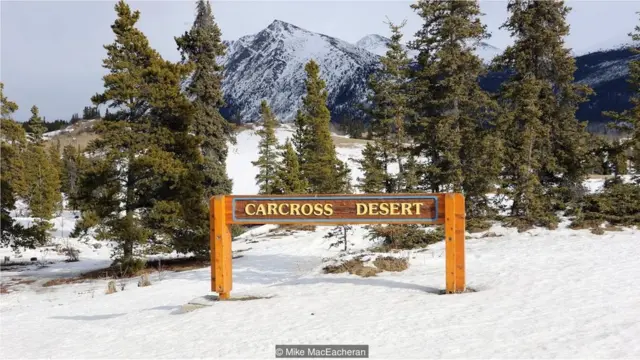 कनाडा का कारक्रॉस डेज़र्ट