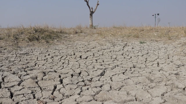સુકાઈ ગયેલું નળ સરોવર