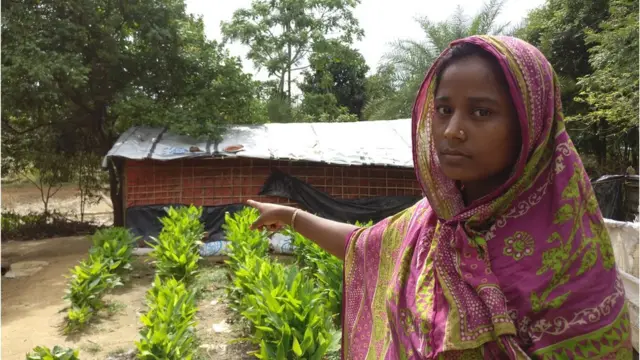 তেলিপাড়া গ্রামের আমিনা বেগমের বাড়ির উঠোনে রোহিঙ্গাদের একটি ঘর।