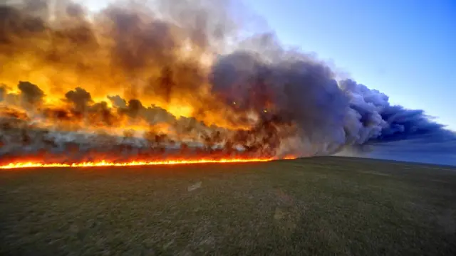 Fuego descontrolado en la selva