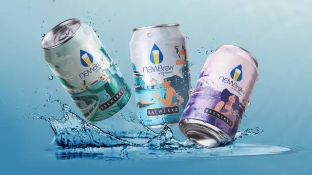 சிங்கப்பூர் பீர்