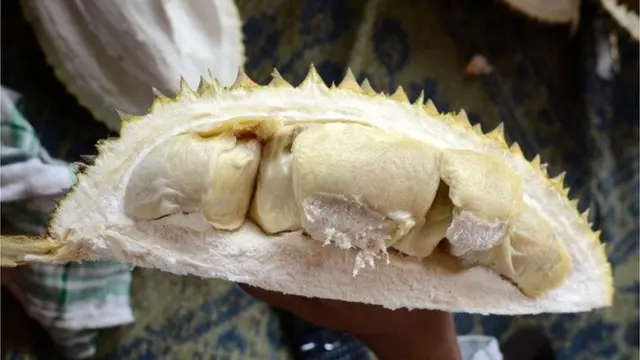 durian, indonesia