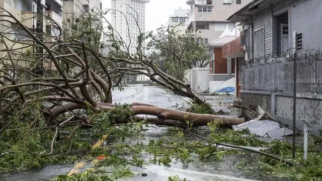 Las calles de la isla se encuentran llenas de árboles caídos.