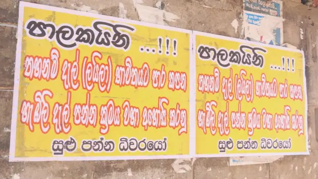 'හැබිලි දැල් නිසා ධීවර කර්මාන්තය අනතුරේ'