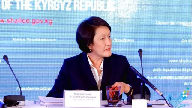 БШК төрайымы Нуржан Шайлдабекова шайлоолорду таза өткөрүү бир гана алардын жоопкерчилиги эмес экенин айтты