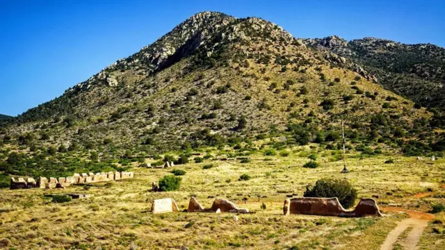 （图片来源：Zack Frank）