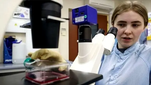 वैक्सीन की तलाश