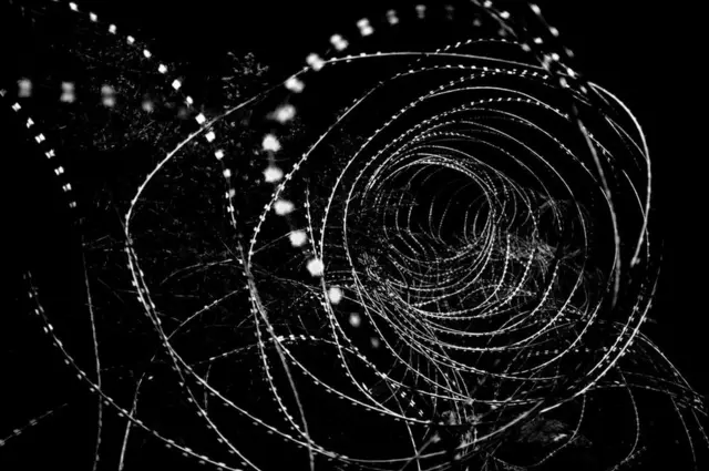 колючая проволока