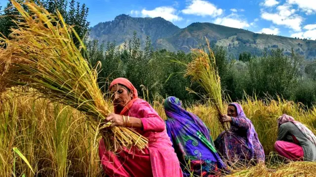 महिला शेतकरी