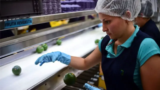 Trabajadora empacando