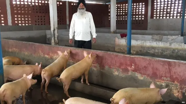 ਦਲਵਿੰਦਰ ਸਿੰਘ ਦਾ ਸੂਰ ਫਾਰਮ ਸੂਬੇ ਦੇ ਪਹਿਲੇ ਪੰਜ ਫਾਰਮਾਂ ਵਿੱਚ ਸ਼ੁਮਾਰ