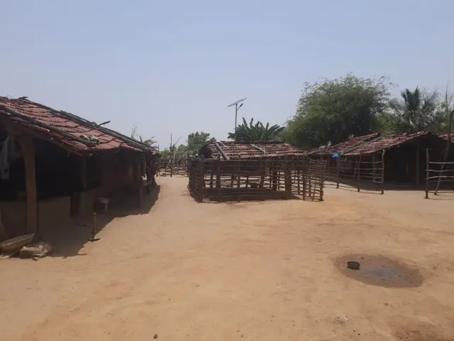 గుత్తి కోయలు