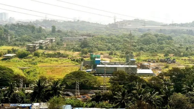 आरे कॉलोनी जहां मेट्रो कार शेड के लिए पेड़ों की कटाई हो रही है