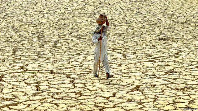 ਪੰਜਾਬ ਕਿਸਾਨ