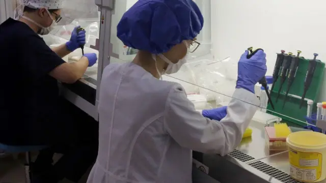 Employees working in a lab